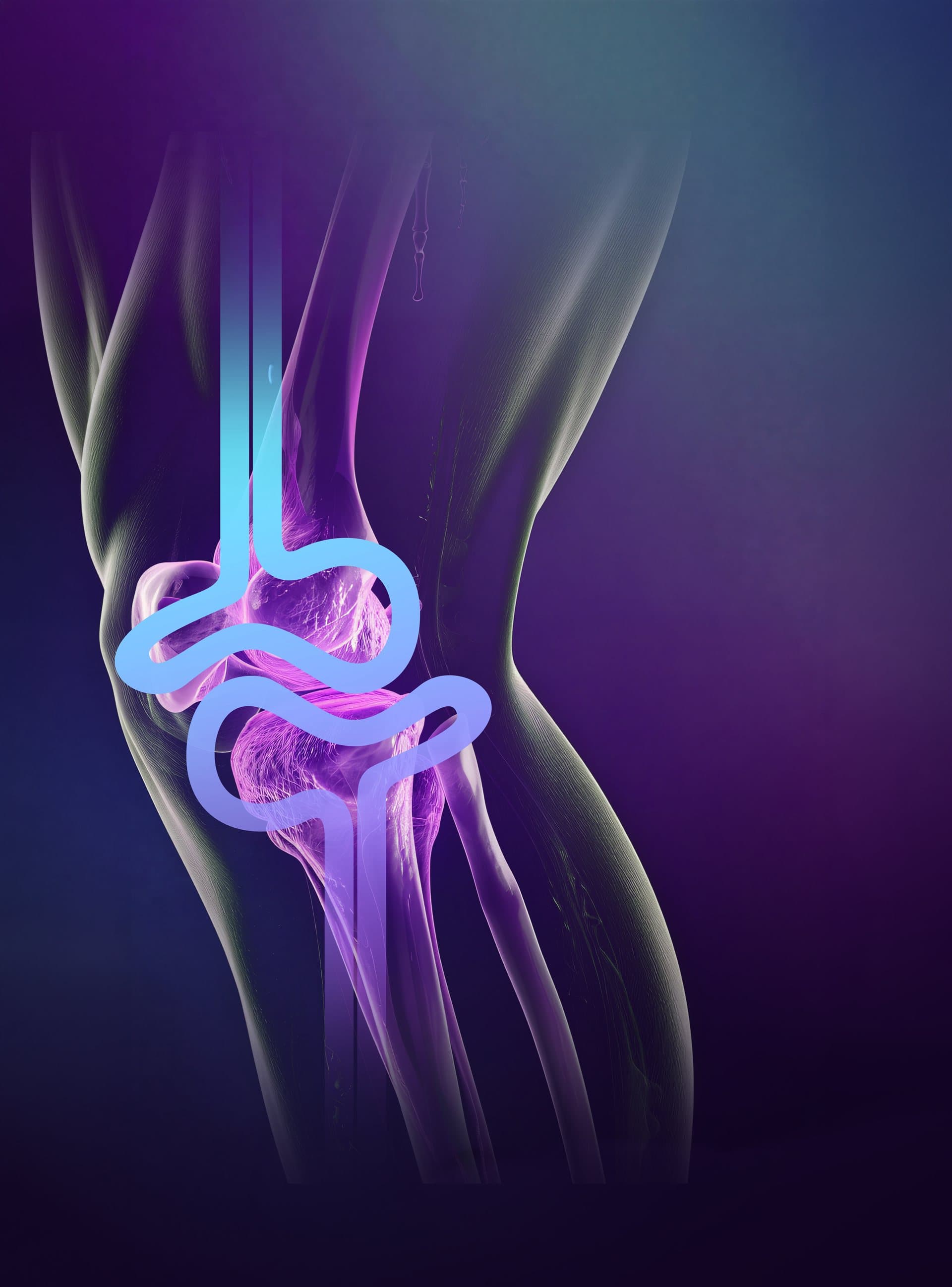 Anatomical knee visual with the REGAIN recovery line flowing through the joint